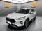 2024 Ford Escape Platinum AWD