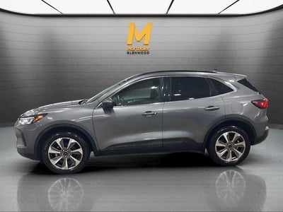 2024 Ford Escape Platinum AWD