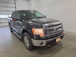 2014 Ford F-150 4WD SuperCrew 5-1/2 Ft Box XLT